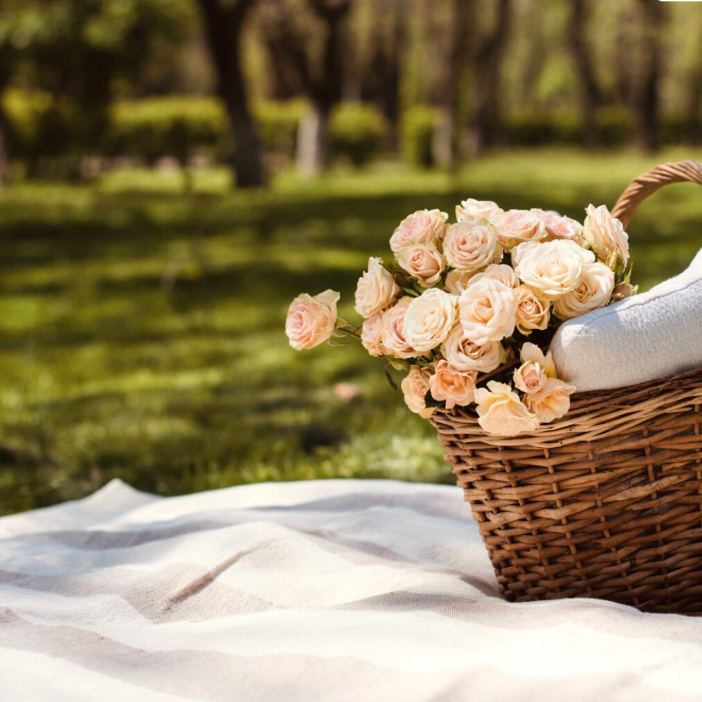 EXTRA Picnic Blanket